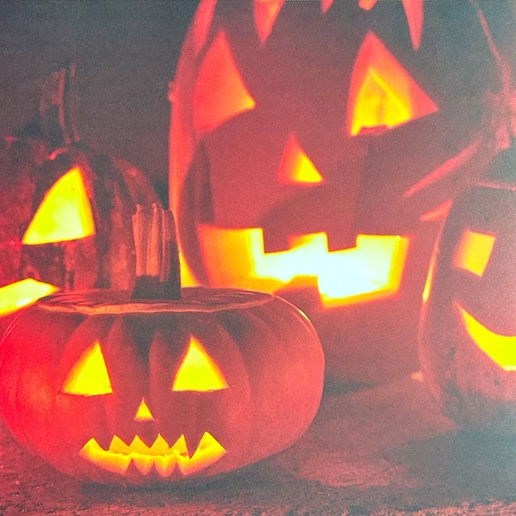 Fall Scrapbook Paper! Beautiful Autumn Colors! 12x12 Premium Card Stock! - Picture 8 of 13